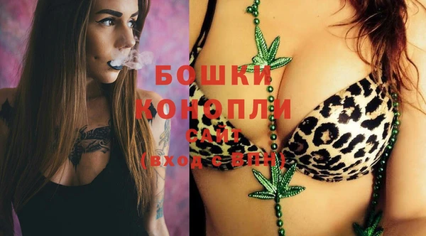 гашик Липки