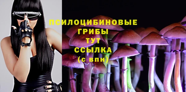 MESCALINE Магас